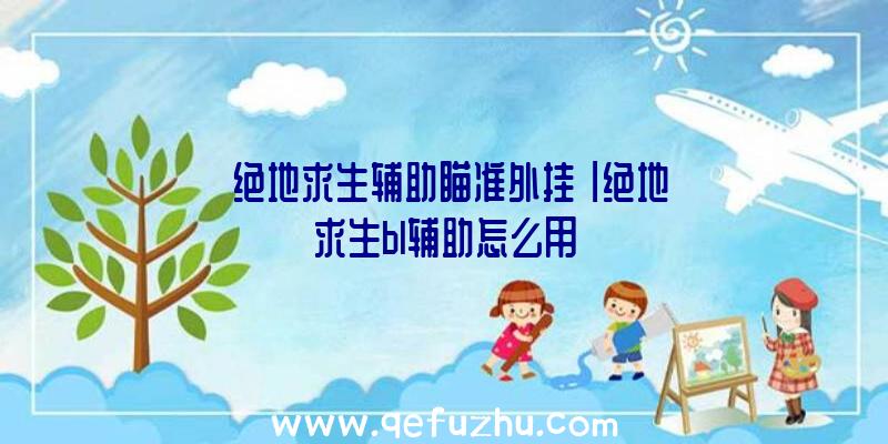 「绝地求生辅助瞄准外挂」|绝地求生bl辅助怎么用